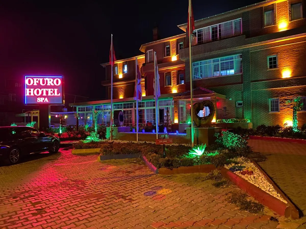 Ofuro World Hotel Spa location